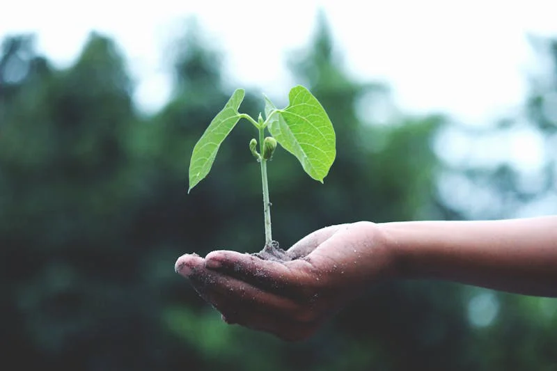 ISO 14001 - Management environnemental
